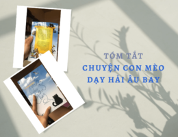 Tóm tắt Chuyện con mèo dạy hải âu bay