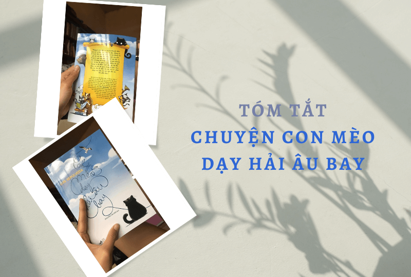 Tóm tắt Chuyện con mèo dạy hải âu bay